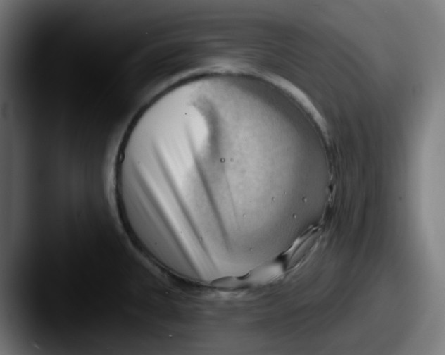 X0000087551335200705181059