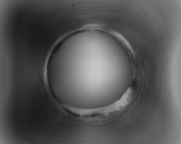 X0000087551336200705181059