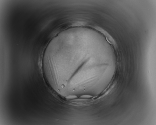 X0000087551337200705181059