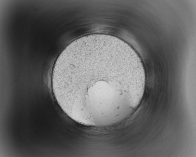 X0000087551338200705181059