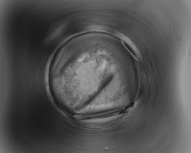 X0000087551339200705181059