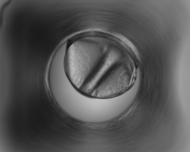 X0000087551340200705181059