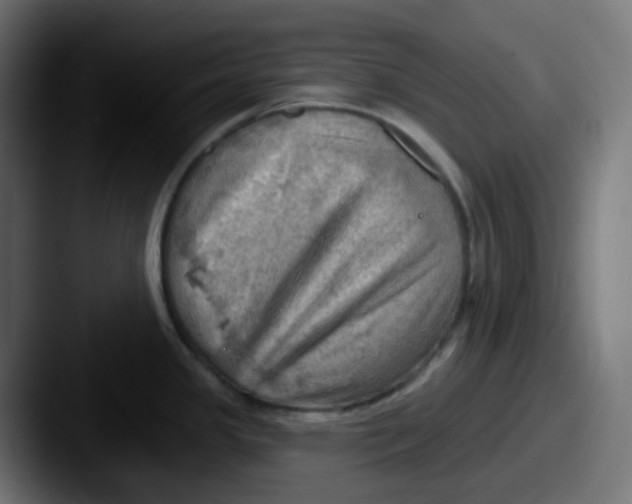 X0000087551341200705181100