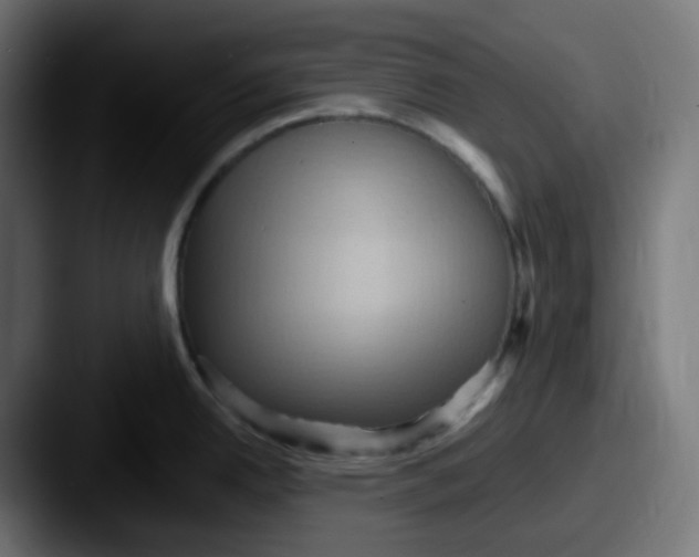 X0000087551342200705181100