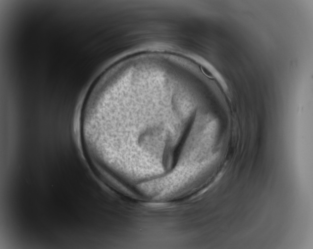 X0000087551343200705181100