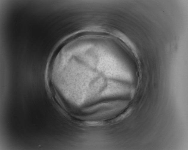 X0000087551344200705181100