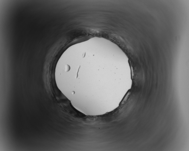 X0000087551345200705181059