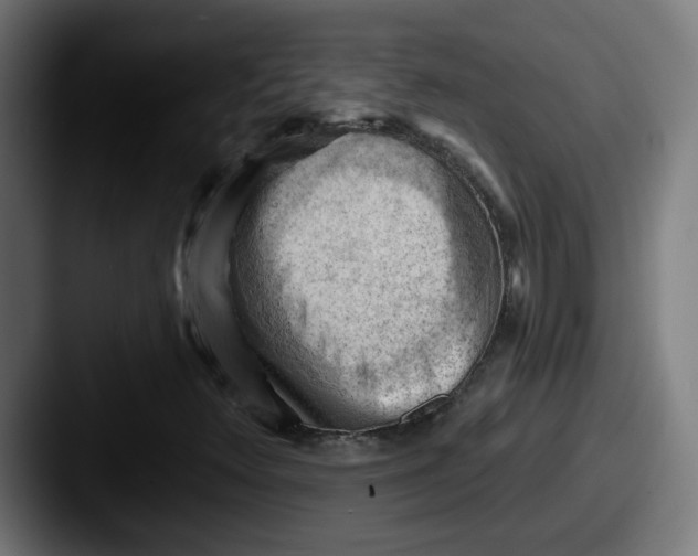 X0000087551348200705181059