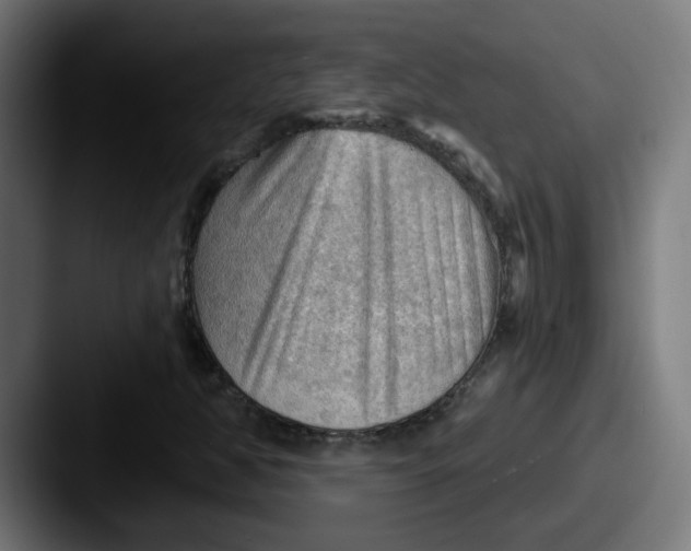 X0000087551350200705181059