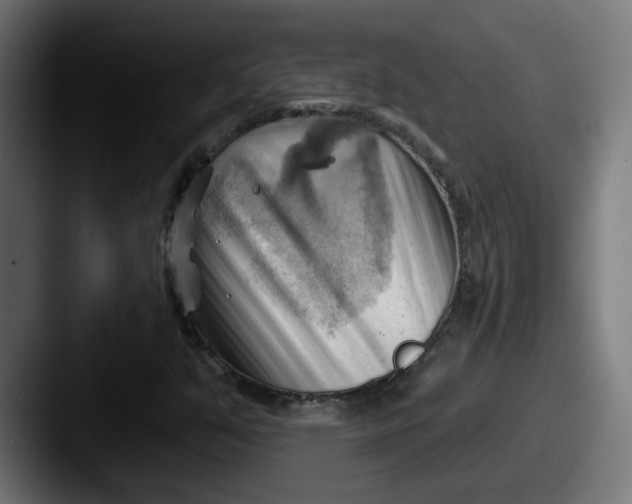 X0000087551351200705181059