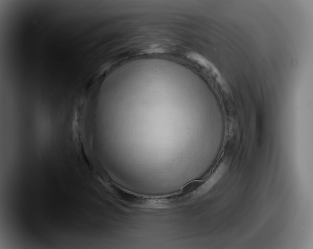 X0000087551353200705181059