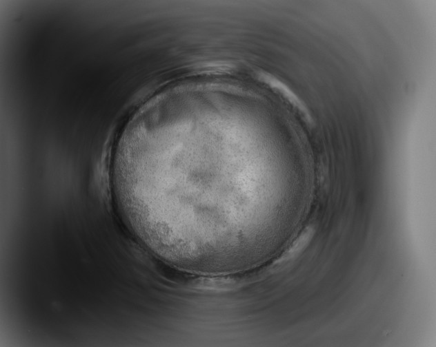 X0000087551354200705181059