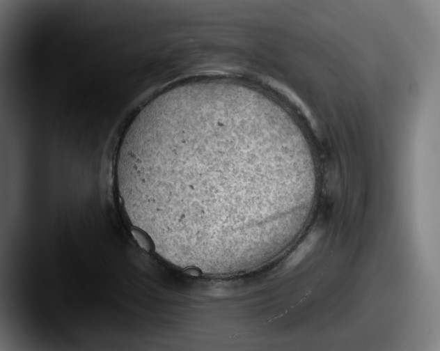 X0000087551355200705181059