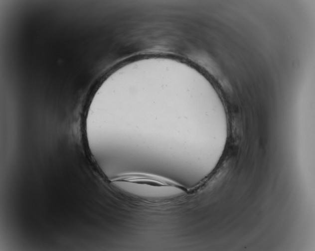 X0000087551356200705181059