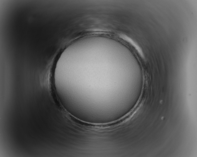 X0000087551357200705181059