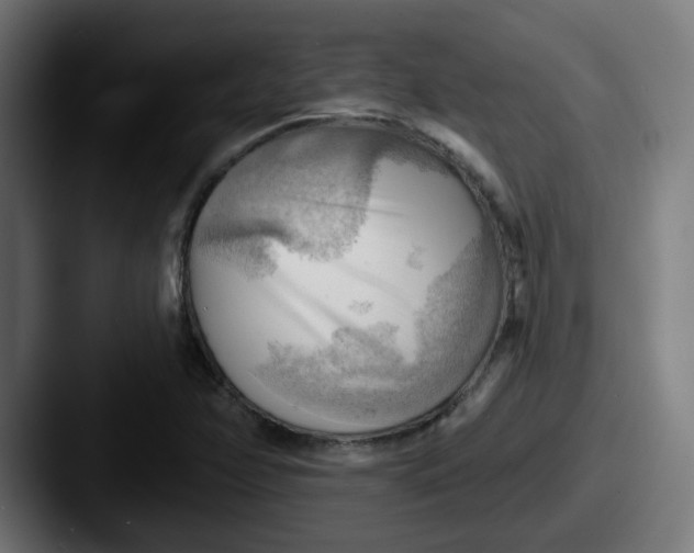 X0000087551358200705181059