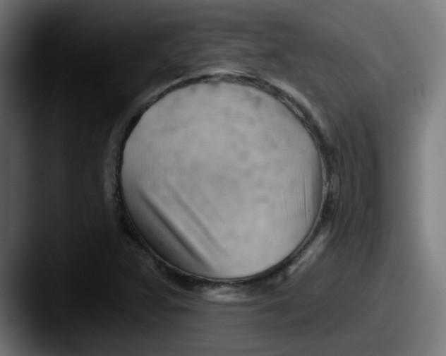 X0000087551359200705181059