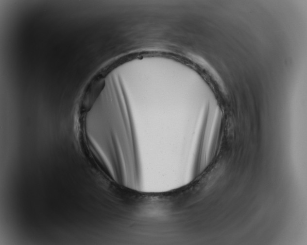 X0000087551360200705181059