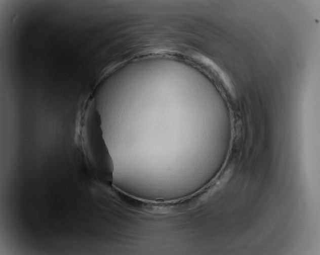 X0000087551361200705181059