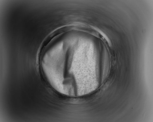 X0000087551364200705181059