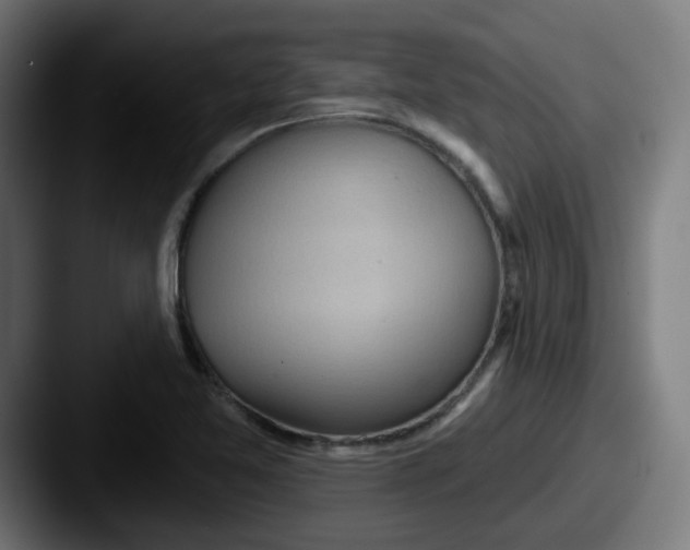 X0000087551365200705181059