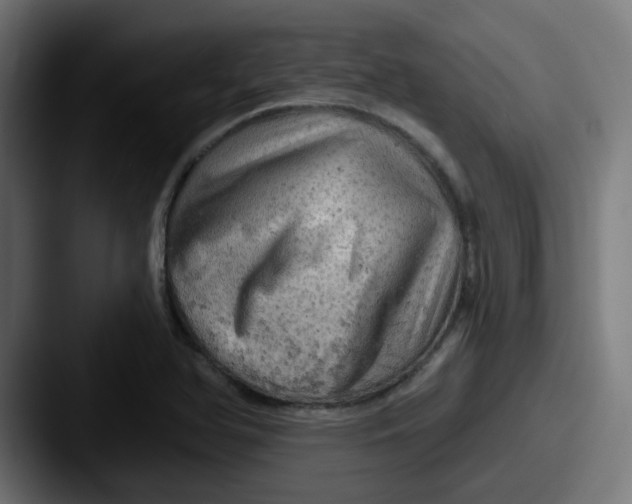 X0000087551366200705181059