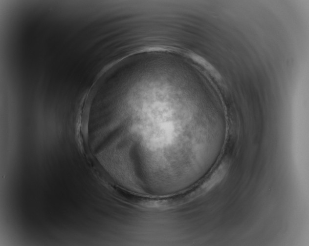 X0000087551369200705181059