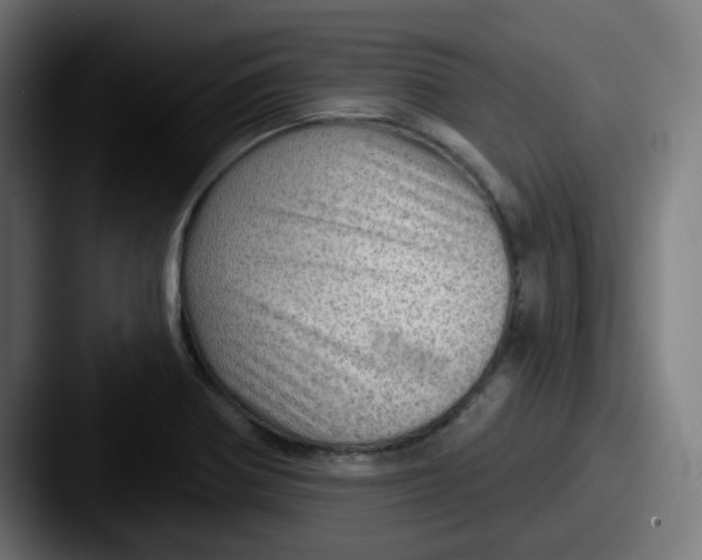 X0000087551370200705181059