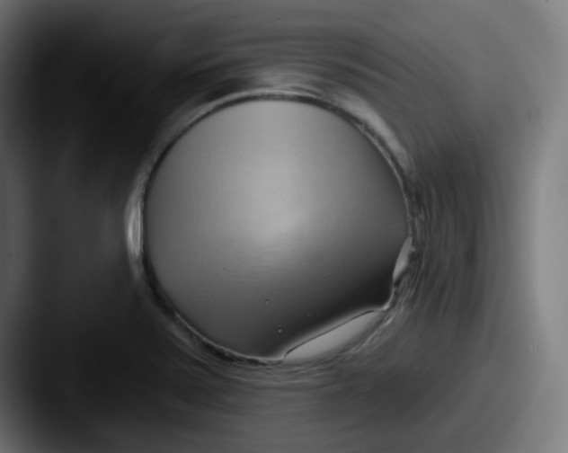 X0000087551371200705181059