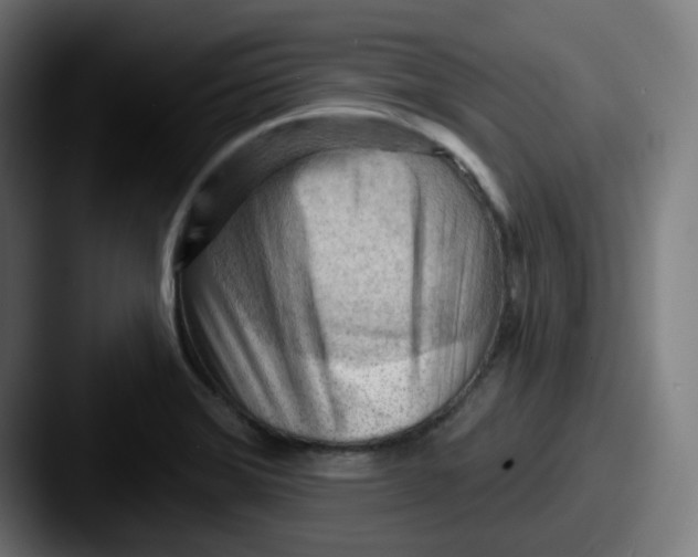 X0000087551372200705181059