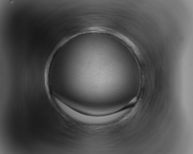 X0000087551373200705181059