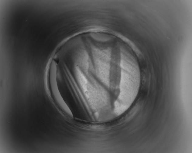 X0000087551375200705181059