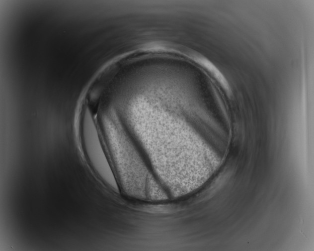 X0000087551376200705181059