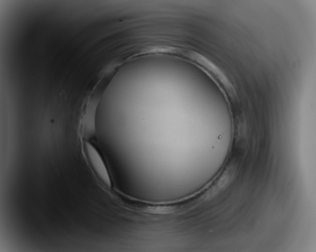 X0000087551377200705181059