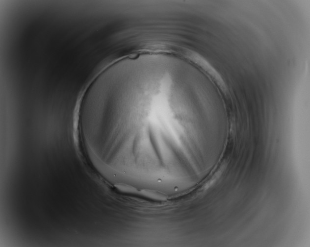 X0000087551378200705181059