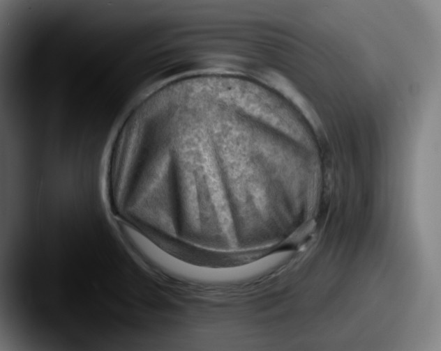 X0000087551379200705181059