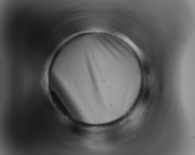 X0000087551380200705181059