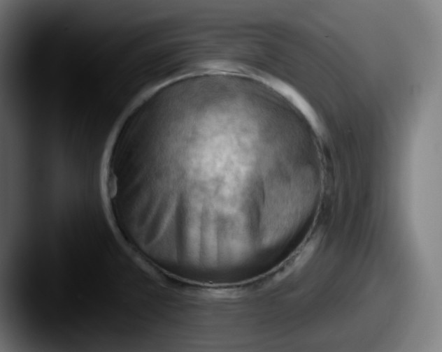 X0000087551381200705181059