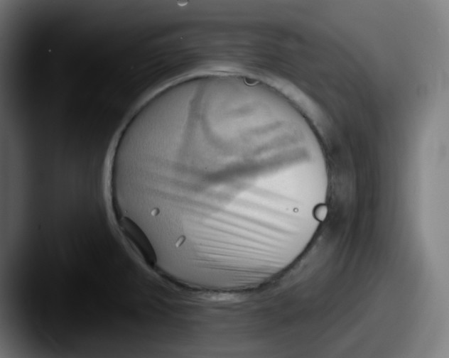 X0000087551382200705181059