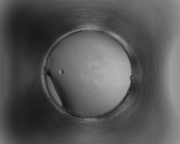 X0000087551383200705181059