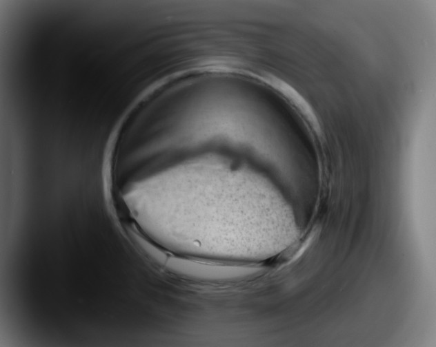 X0000087551384200705181059