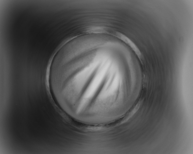 X0000087551386200705181059