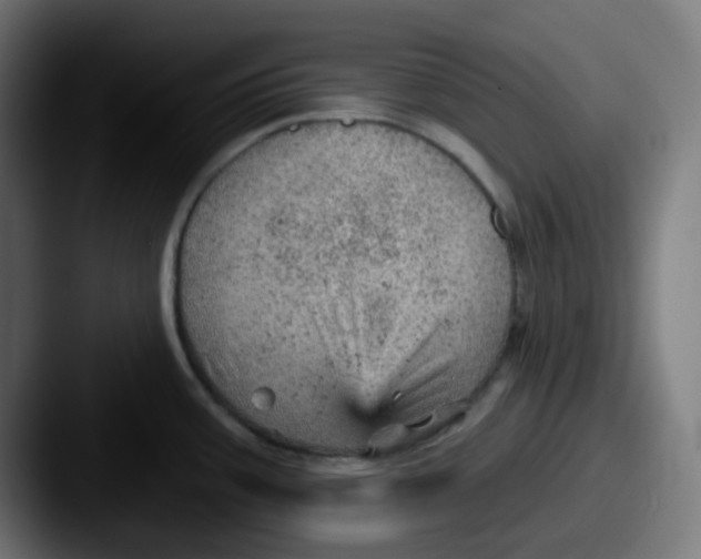 X0000087551387200705181058