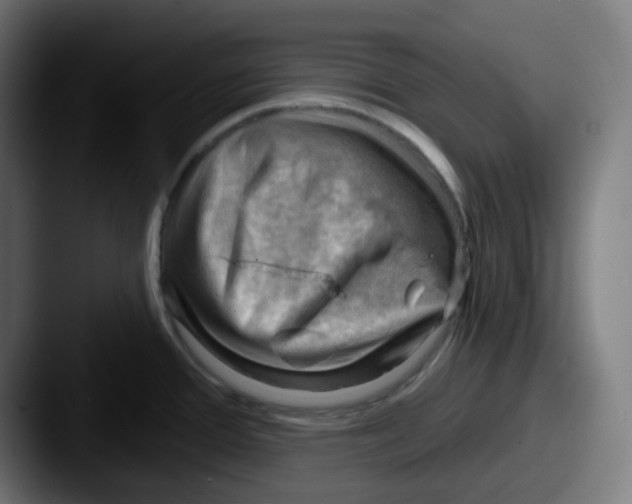 X0000087551388200705181058