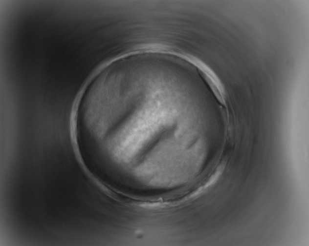 X0000087551389200705181058