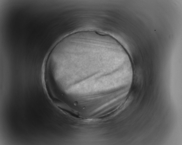 X0000087551390200705181058