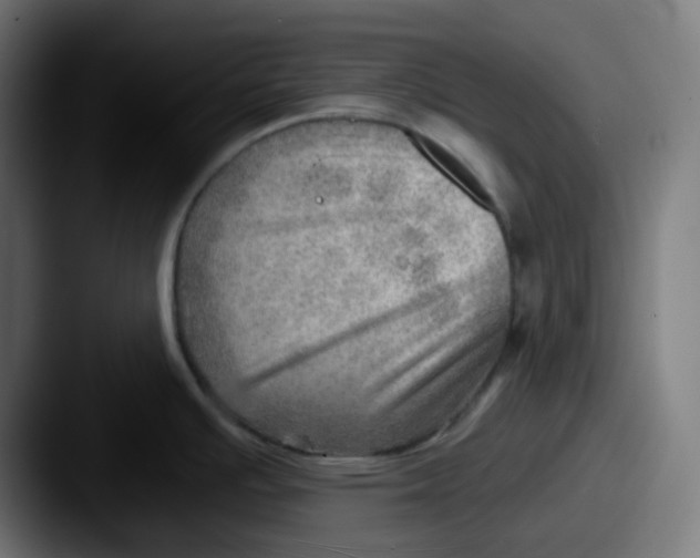 X0000087551391200705181058