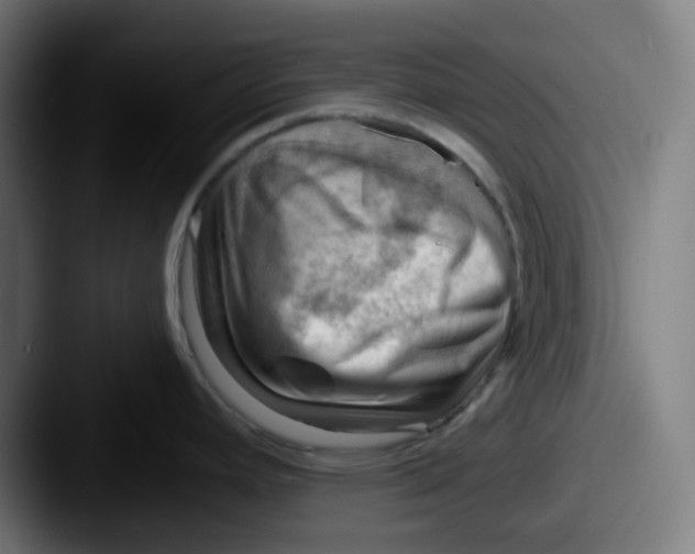 X0000087551392200705181058