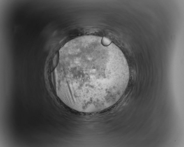 X0000087551393200705181058