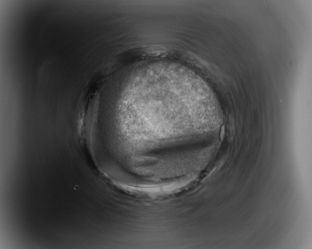 X0000087551394200705181058